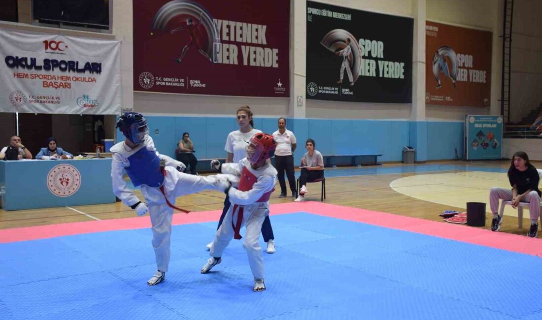 Afyonkarahisar’da gerçekleştirilen Taekwondo İl Seçmeleri, büyük bir heyecanla tamamlandı. Toplamda