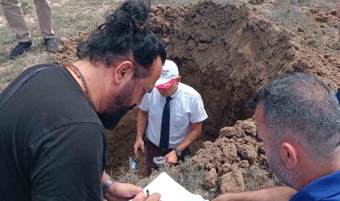 Afyonkarahisar Valiliği koordinesinde Tarım ve Orman Bakanlığı desteğiyle Çay ilçesine