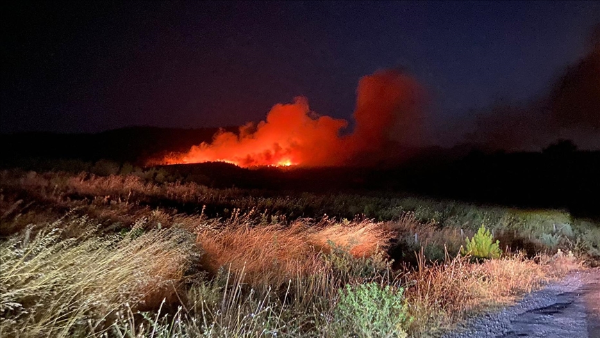 Çanakkale’nin Ayvacık ilçesinde ormanlık alanda başlayan yangına müdahale ediliyor. Gemedere