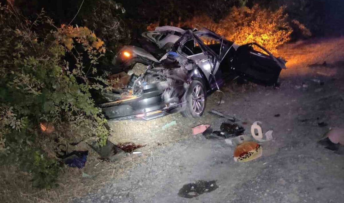 Afyonkarahisar’da tır ile otomobilin çarpıştığı kazada 1 kişi öldü, 5