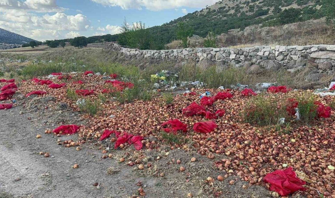 Afyonkarahisar’ın Bolvadin ilçesinde bir köyün çıkışana dökülen yaklaşık 2 ton