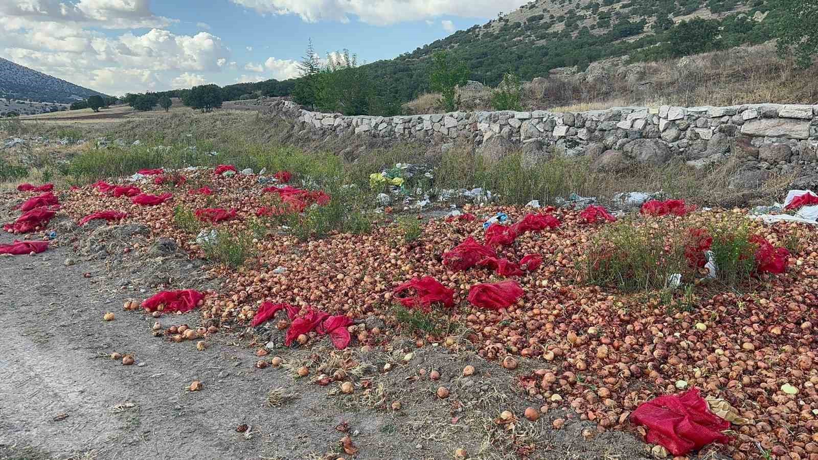 Afyonkarahisar’ın Bolvadin ilçesinde bir köyün çıkışana dökülen yaklaşık 2 ton