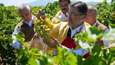 Manisa’da üzüm hasat törenine katılan Tarım ve Orman Bakanı İbrahim