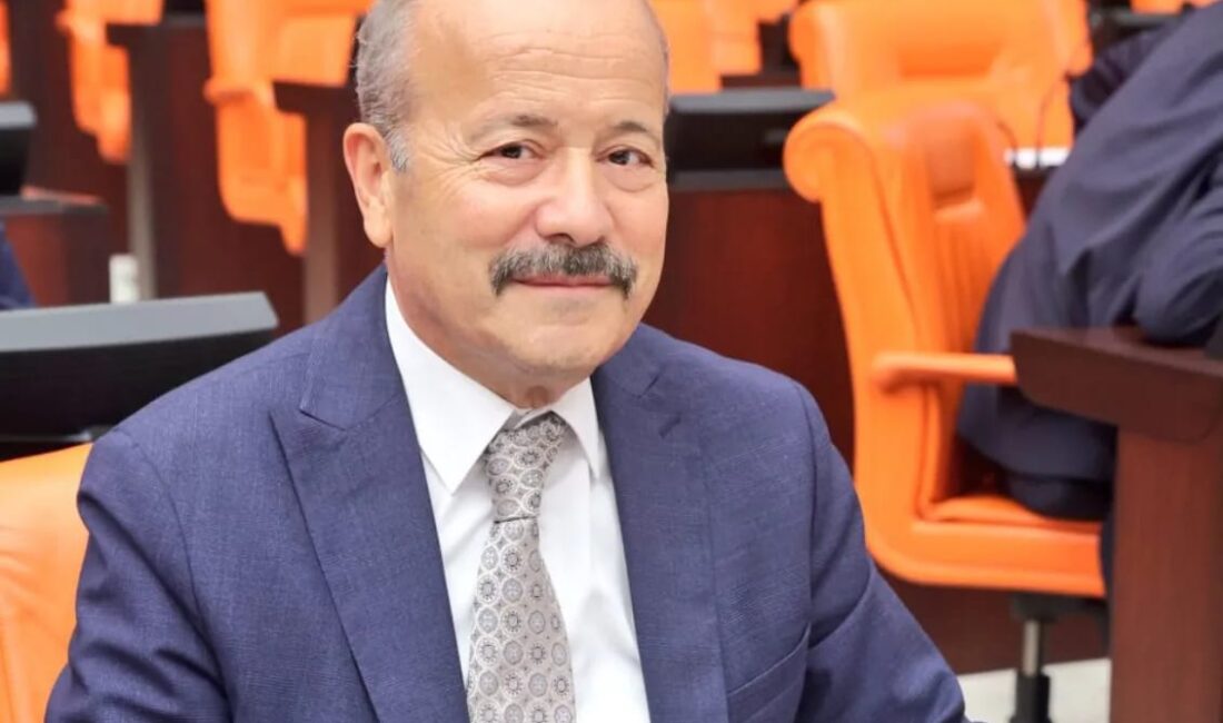   Milliyetçi Hareket Partisi Afyonkarahisar Milletvekili Mehmet Taytak TV8’de yayınlanan