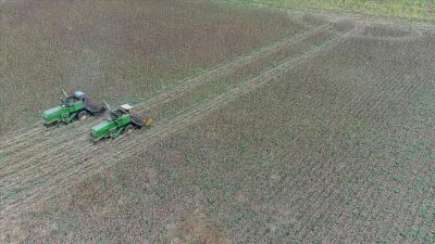 Tarım ve Orman Bakanlığı, üretim planlamasının sağlıklı şekilde uygulanabilmesi için