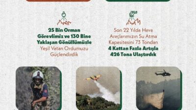 Maliye Bakanı Mehmet Şimşek, orman yangınlarıyla etkili bir şekilde mücadele