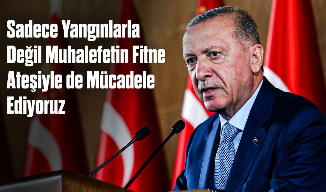 Devlet Yangınlarla Muhalefete Karşı Da Mücadele Ediyor Cumhurbaşkanı Recep Tayyip Erdoğan, devletin yangınlarla birlikte muhalefetin yarattığı olumsuz