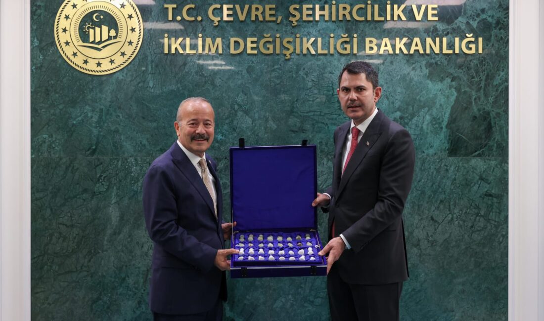 Milliyetçi Hareket Partisi Afyonkarahisar Milletvekili Mehmet Taytak, Çevre Şehircilik ve
