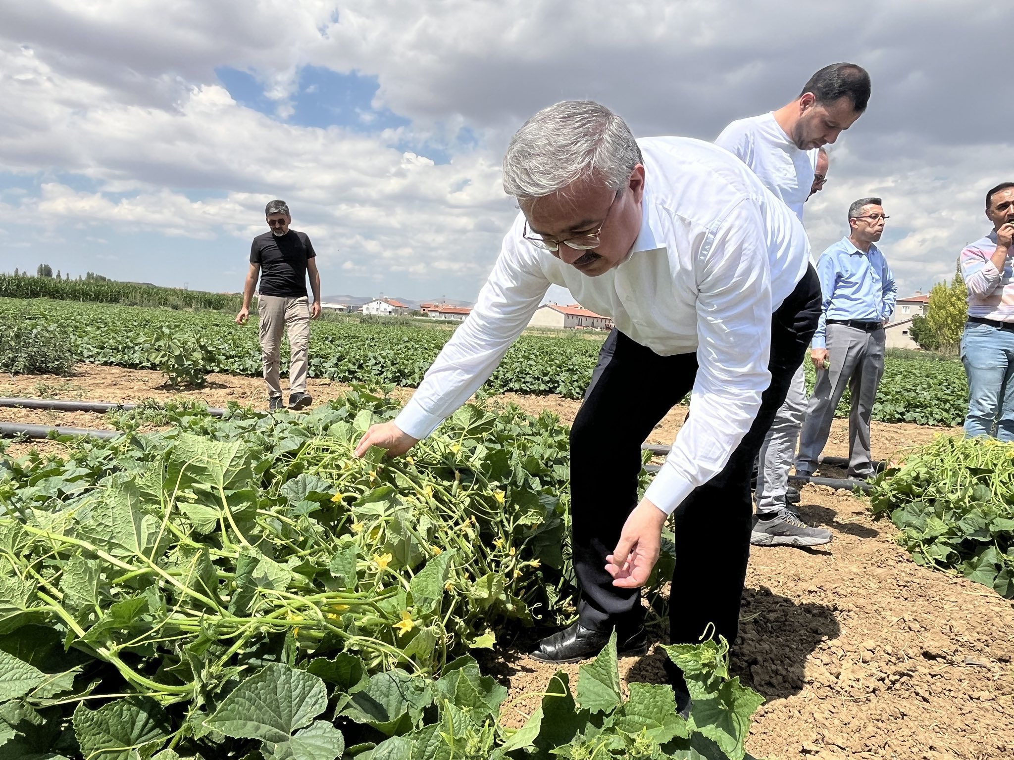   Salatalık alımı konusunda açıklamada bulunan AK Parti Afyonkarahisar Milletvekili