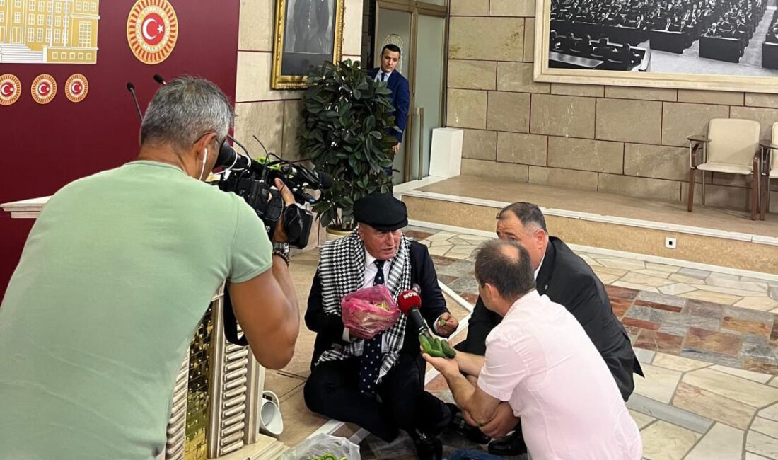   İYİ Parti Genel Başkan Yardımcısı ve Afyonkarahisar Milletvekili Hakan
