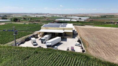 Eskişehirli sebze üreticileri, toplam 22 ton dereotu ve maydanozu Romanya