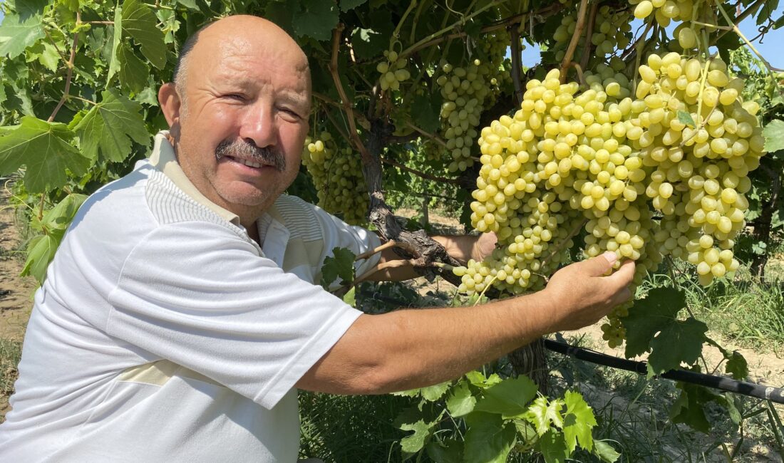  Manisa’nın Alaşehir Ticaret ve Sanayi Odası tarafından hazırlanan ürün alım