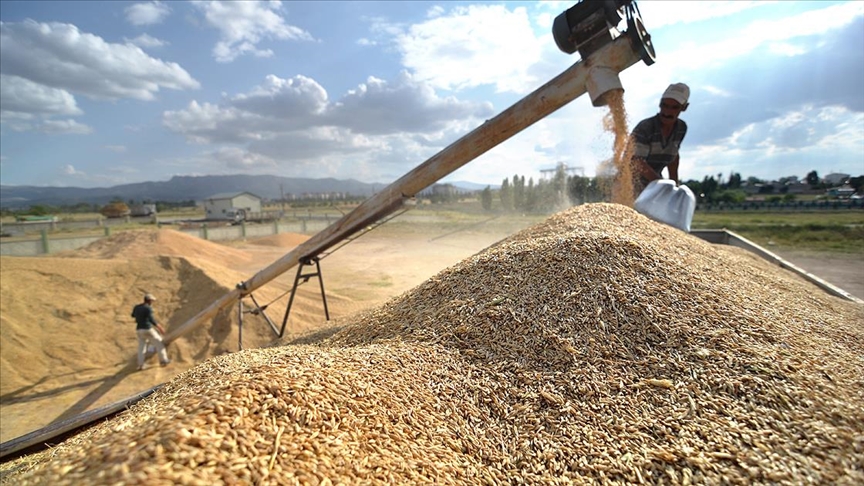  Toprak Mahsulleri Ofisi tarafından hasat sezonunun açılmasıyla başlatılan hububat