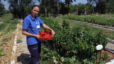 Türkiye’nin 81 iline bugüne kadar 19 milyon yerel tohum dağıtan