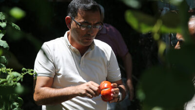 Alanya Ziraat Odası Başkanı Tahir Göktepe, ilçede yürütülen ata tohumlarının