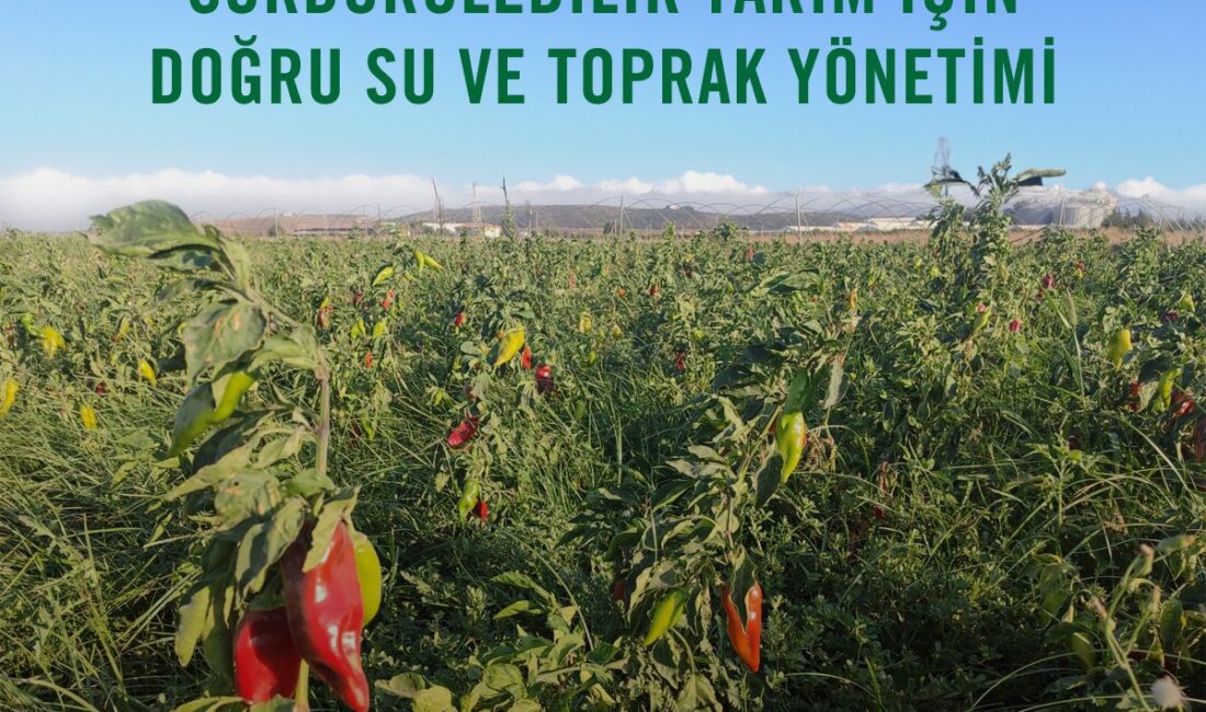 6 Şubat 2023 tarihinde Türkiye’nin 11 ilini etkileyen büyük depremler