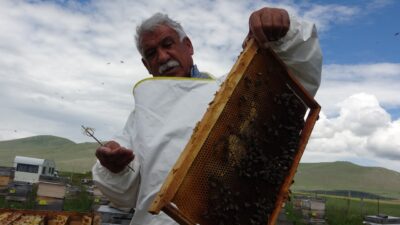 Ardahan Arıcılar Birliği Başkanı İlhan Evliyaoğlu: “Ardahan’da hasat dönemi 10
