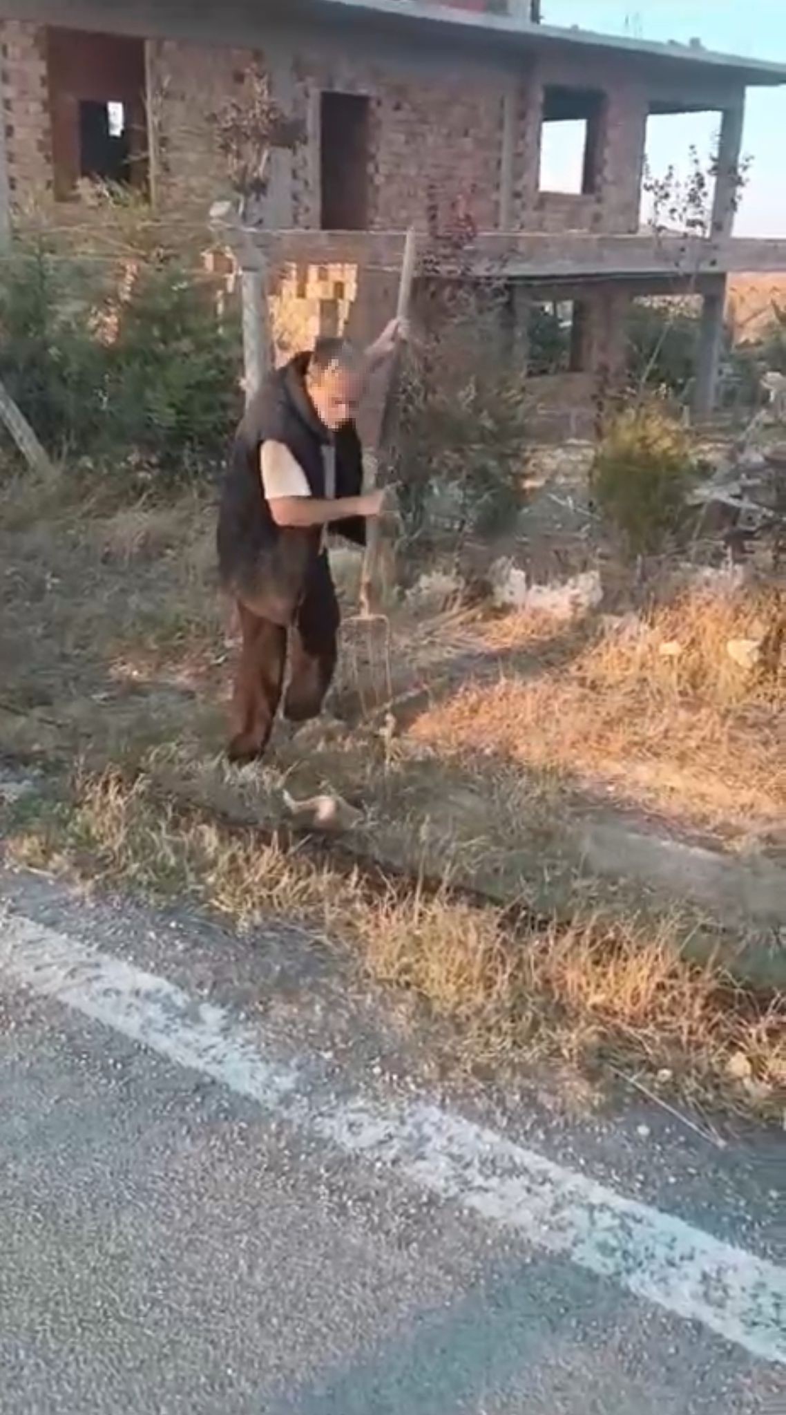 Polatlı’da Yavru Köpeğe Dirgenli Vahşet: Bir Cani Gözaltında Ankara’nın Polatlı