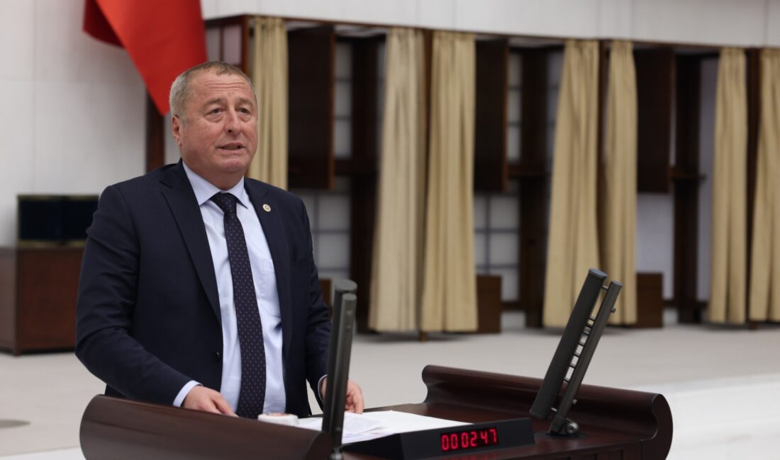 İYİ Parti Hukuk-Seçim ve Parlamento İşlerinden Sorumlu Genel Başkan Yardımcısı