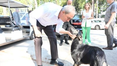 Kepez Belediye Başkanı Mesut Kocagöz, sosyal medyada Göksu Mahallesi’nde bir