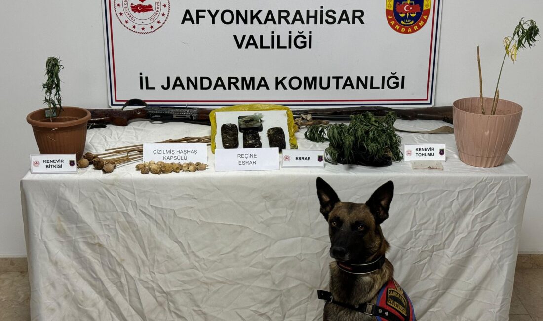 Afyonkarahisar İl Jandarma Komutanlığınca uyuşturucu ile mücadele kapsamında yapılan titiz