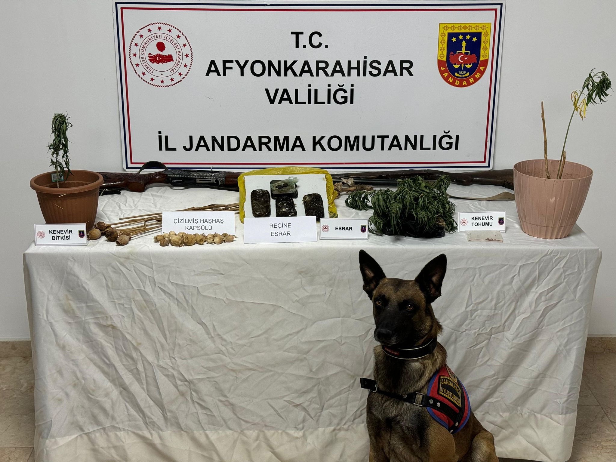 Afyonkarahisar İl Jandarma Komutanlığınca uyuşturucu ile mücadele kapsamında yapılan titiz