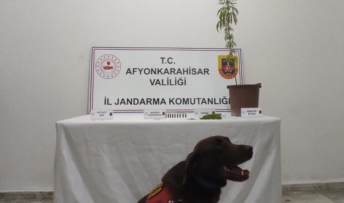 AFYONKARAHİSAR'DA JANDARMA TARAFINDAN GERÇEKLEŞTİRİLEN UYUŞTURUCU OPERASYONUNDA 2 ŞAHIS GÖZALTINA ALINIRKEN,