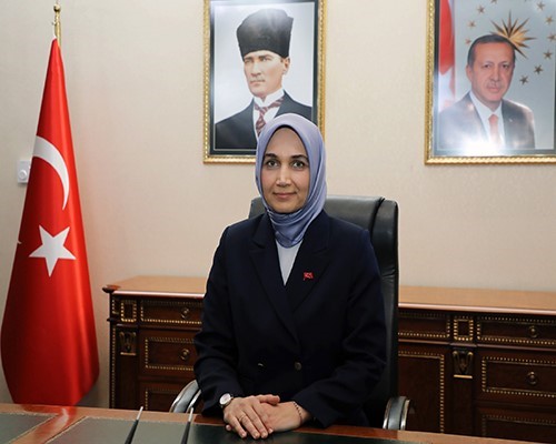 Afyonkarahisar’ın Sinanpaşa ilçesine bağlı Kırka Beldesi’nde ormanlık alanda çıkan yangınla