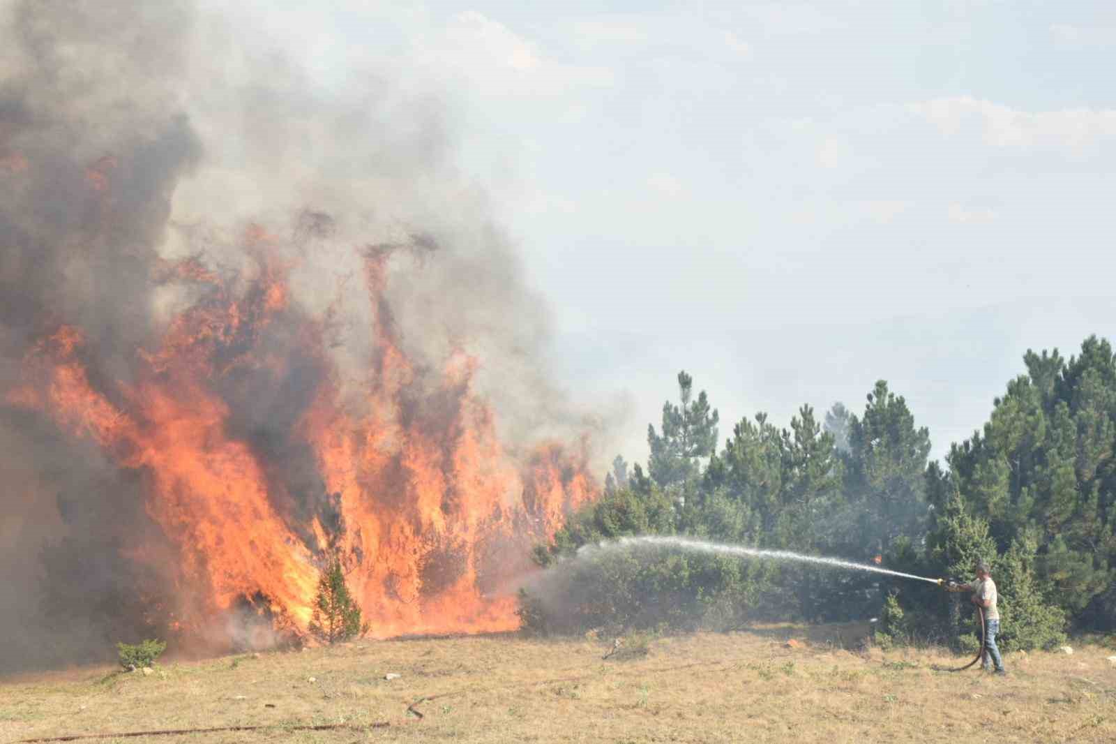 Afyonkarahisar’ın Sandıklı ilçesinde dün öğle saatlerinde ormanlık alanda çıkan yangın