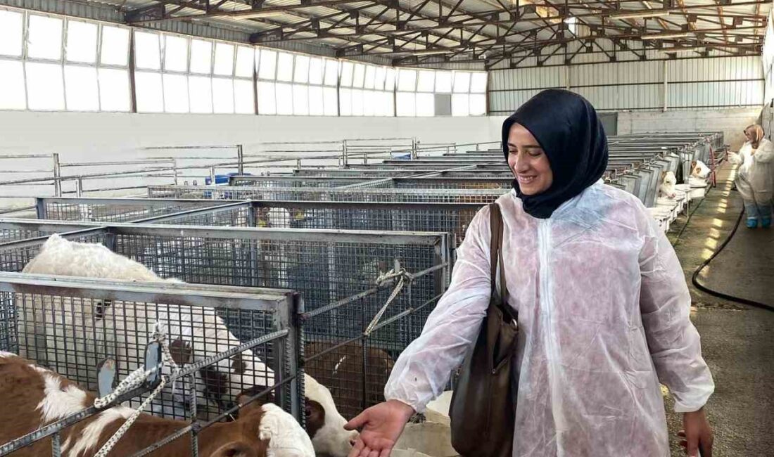 Ardahan Tarım ve Orman İl Müdürlüğü tarafından projelendirilerek Tarım ve