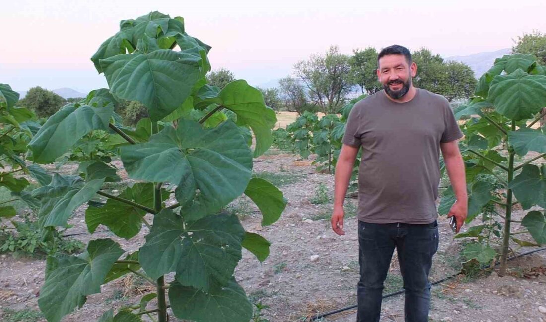 Afyonkarahisar’ın Dinar ilçesinde ilk defa, kısa sürede 15 metreye kadar