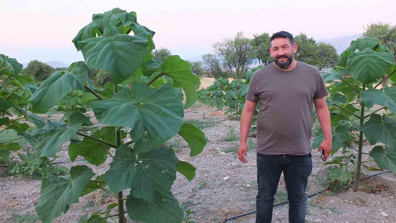 Afyonkarahisar’ın Dinar ilçesinde ilk defa, kısa sürede 15 metreye kadar