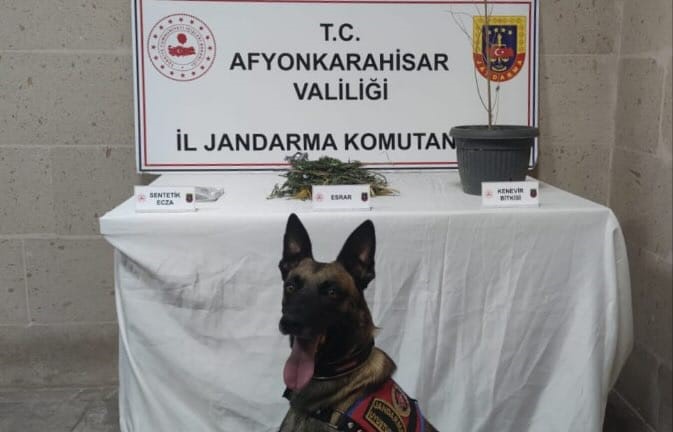 JANDARMA YAPTIĞI BASKINDA KENEVİR VE ESRAR ELE GEÇİRDİ