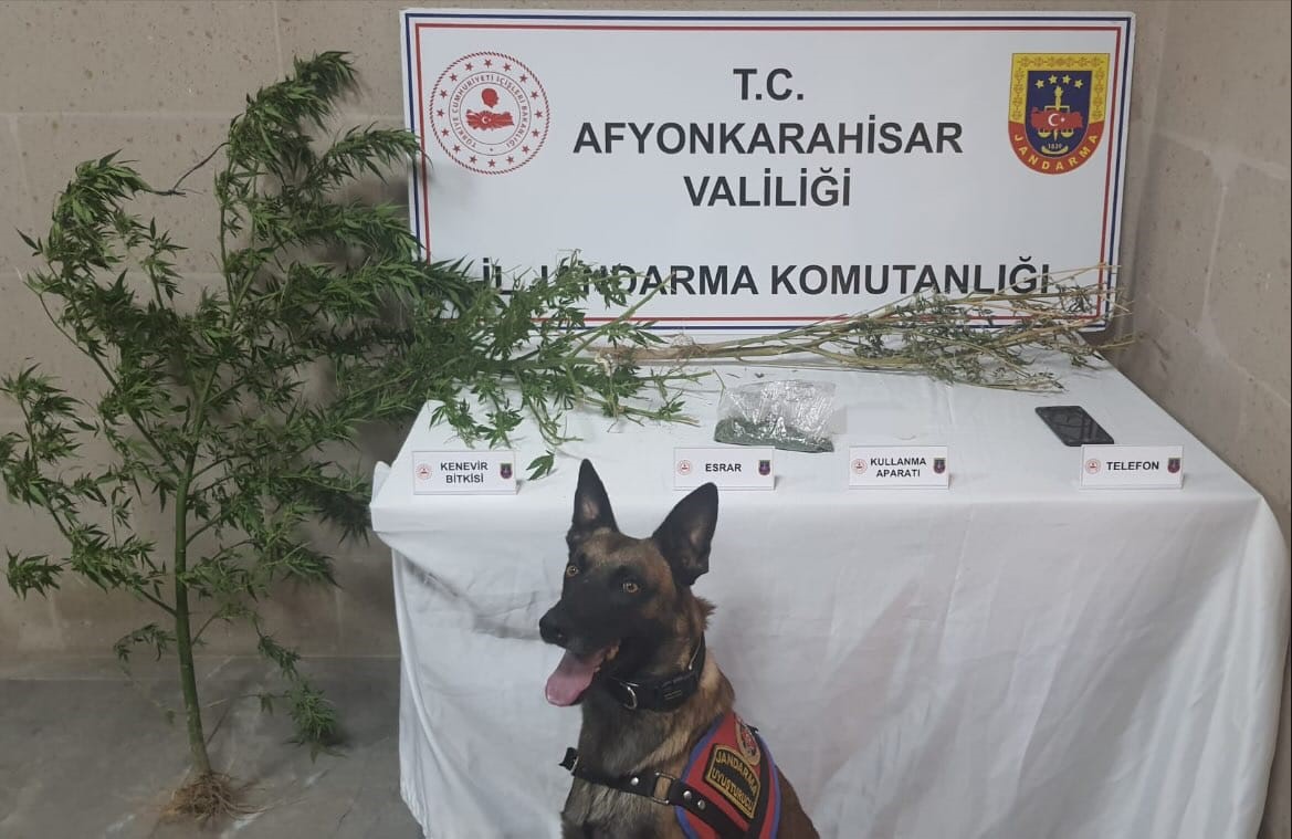 Afyonkarahisar İl Jandarma Komutanlığı ekipleri yaptığı operasyonda esrar maddesi, kenevir
