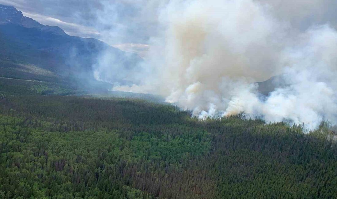 Kanada’nın Alberta eyaletinde devam eden orman yangınında 1 itfaiyeci hayatını
