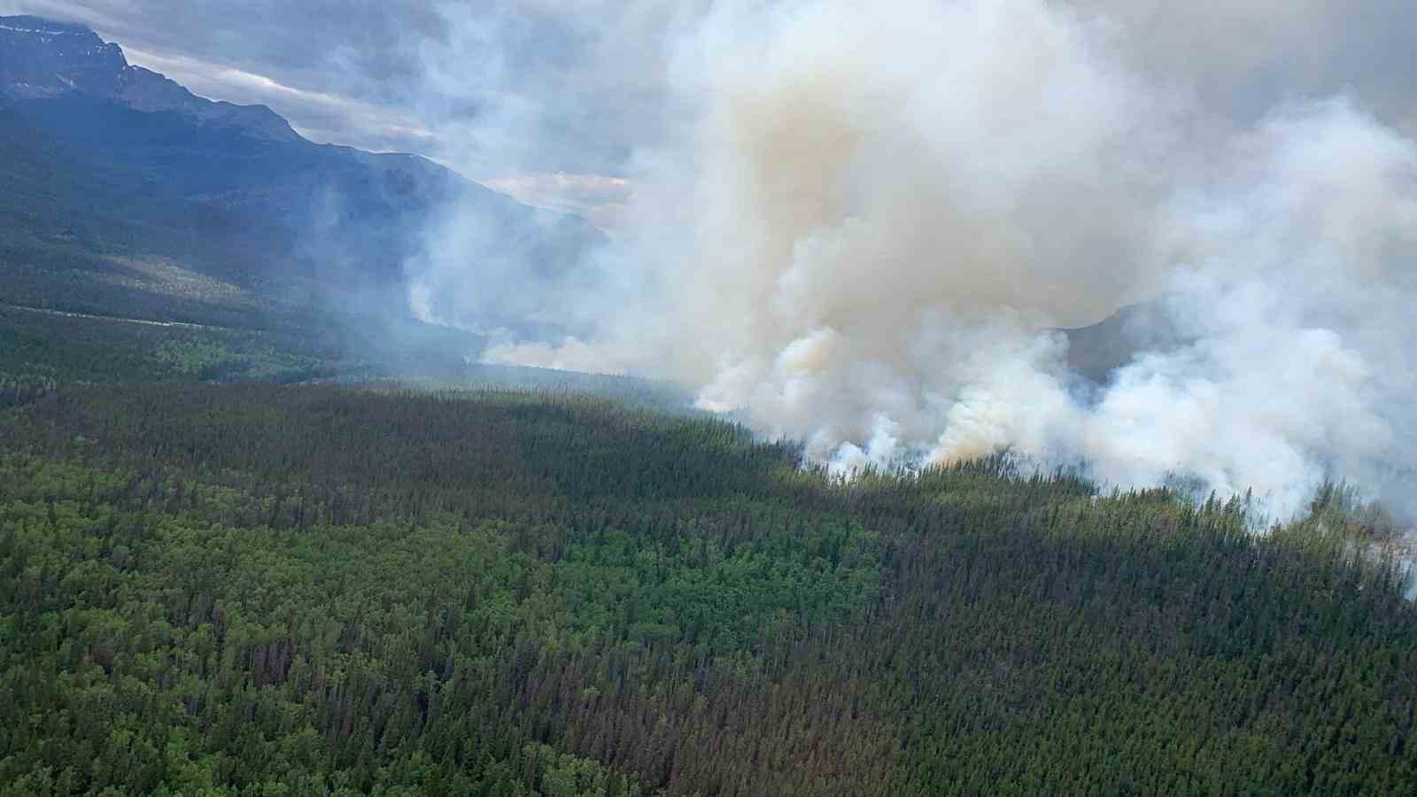 Kanada’nın Alberta eyaletinde devam eden orman yangınında 1 itfaiyeci hayatını