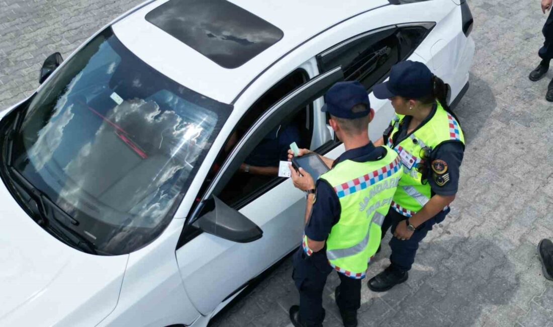 Afyonkarahisar’da jandarma tarafından gerçekleştirilen trafik ve asayiş denetiminde 402 kişinin