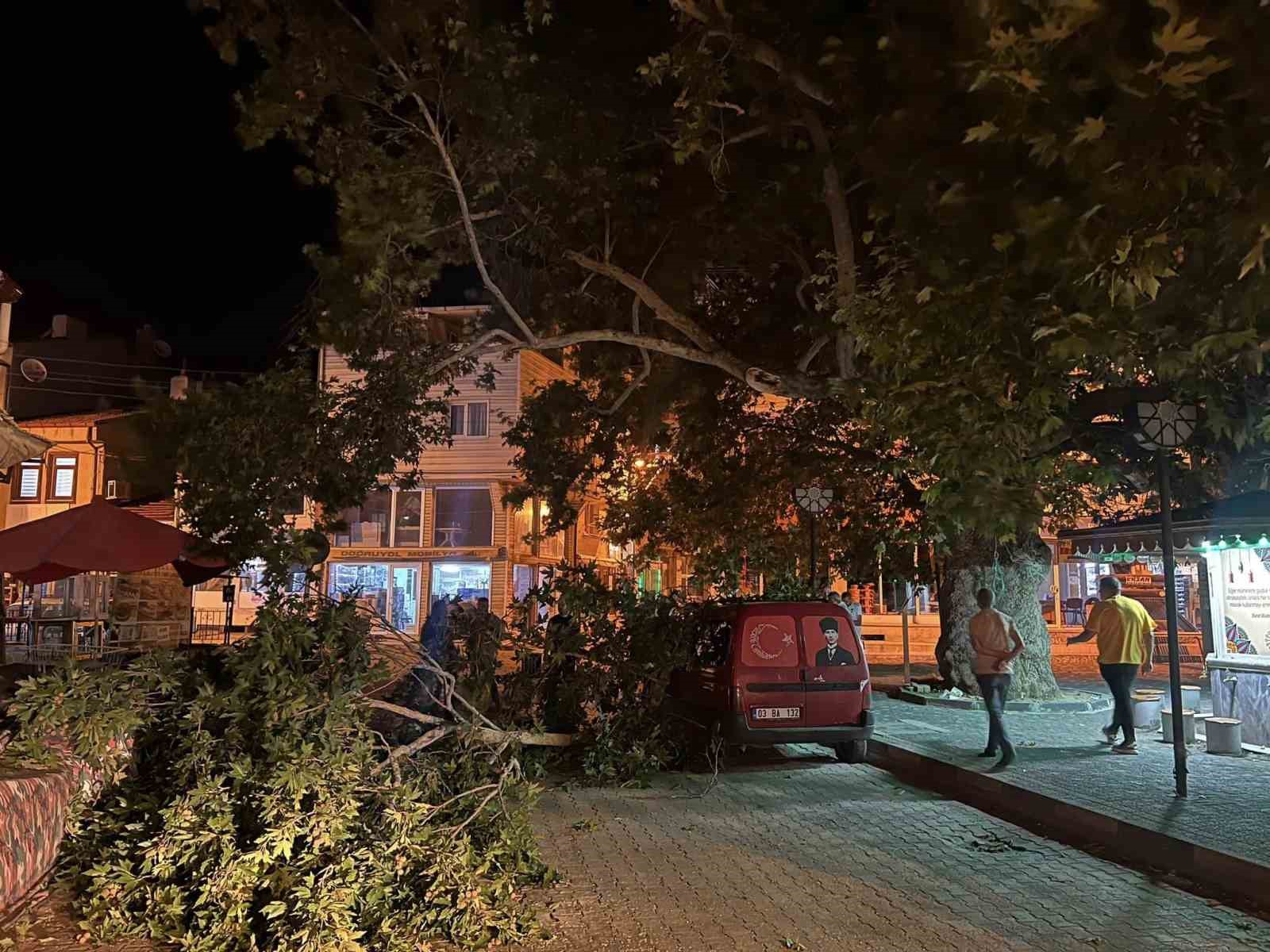 AFYONKARAHİSAR’DA PARK HALİNDEKİ BİR HAFİF TİCARİ ARACIN ÜZERİNE AĞACIN KIRILAN