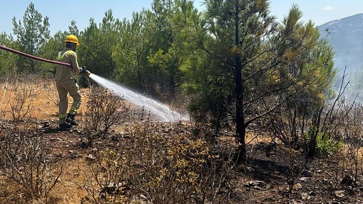 Mersin’de 15 Ağustos’ta, 4 noktada çıkan orman yangınlarıyla ilgili tutuklanan