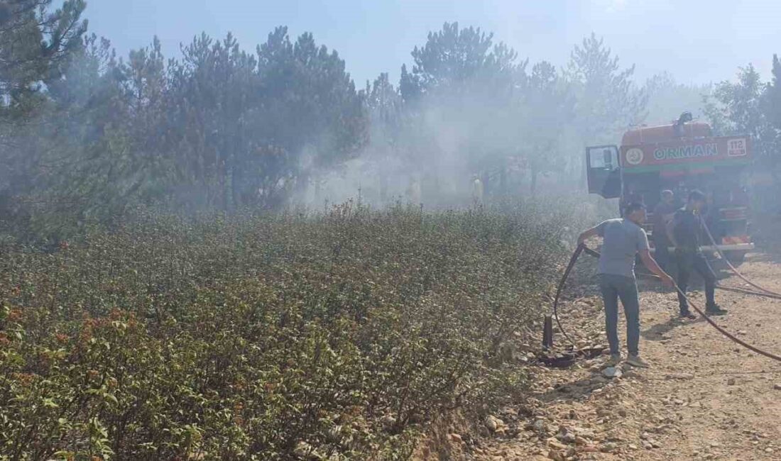 Afyonkarahisar Valiliği, Sinanpaşa ilçesi Kırka beldesindeki ormanlık alanda çıkan yangınla