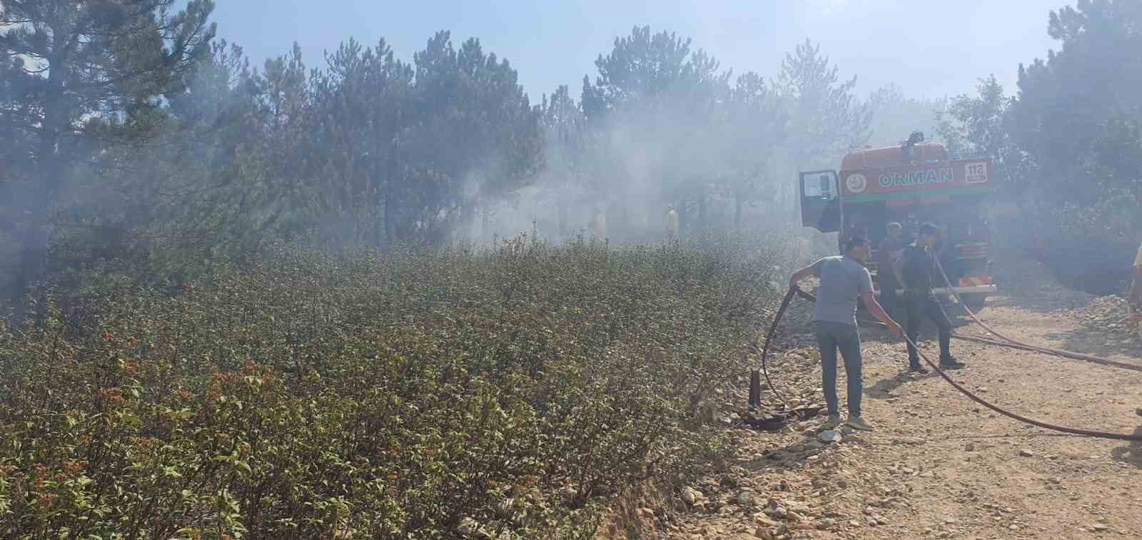 Afyonkarahisar Valiliği, Sinanpaşa ilçesi Kırka beldesindeki ormanlık alanda çıkan yangınla