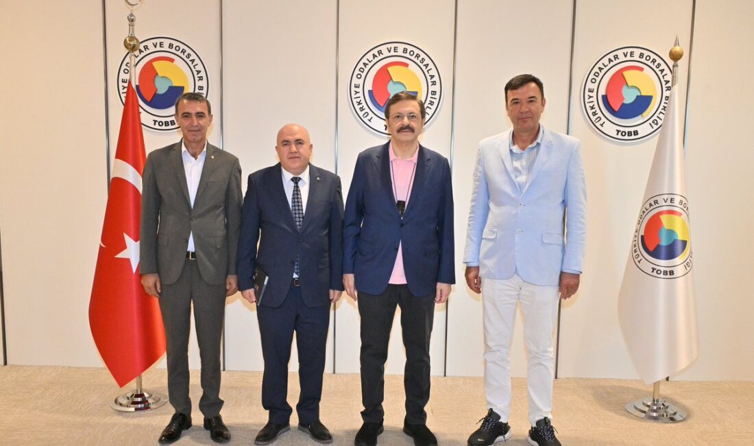 Bilecik Ticaret ve Sanayi Odası Yönetim Kurulu Başkanı Mehmet Ergun,