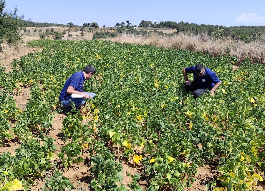 Tarım ve Orman Müdürlüğü, ilçe genelindeki merkez mahalleler ile köylerde