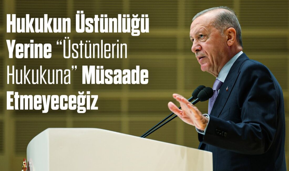 Cumhurbaşkanı Recep Tayyip Erdoğan, mahkemelerin rolü hakkında önemli açıklamalarda bulundu.