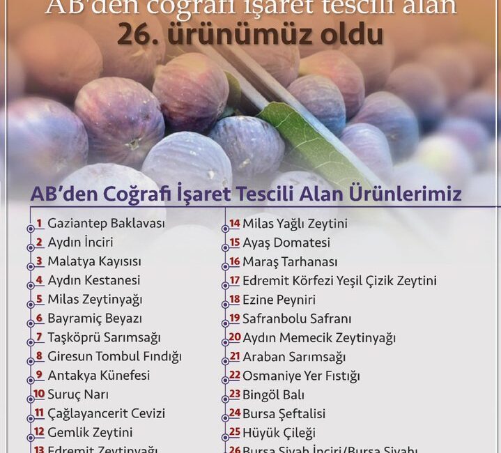 Bursa Siyah İnciri, Avrupa Birliği’nden coğrafi işaret tescili alan 26.