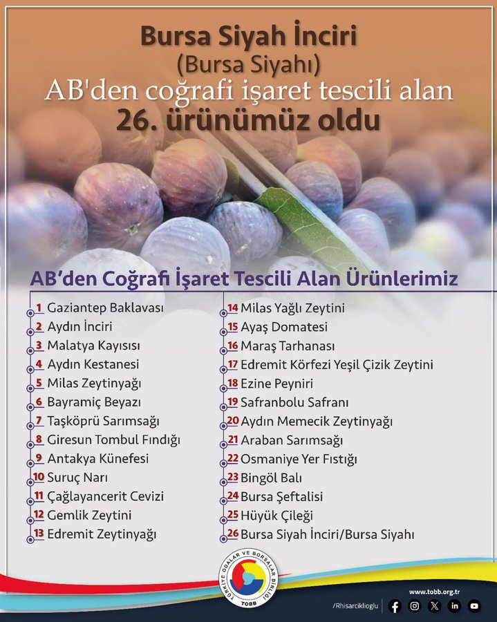 Bursa Siyah İnciri, Avrupa Birliği’nden coğrafi işaret tescili alan 26.