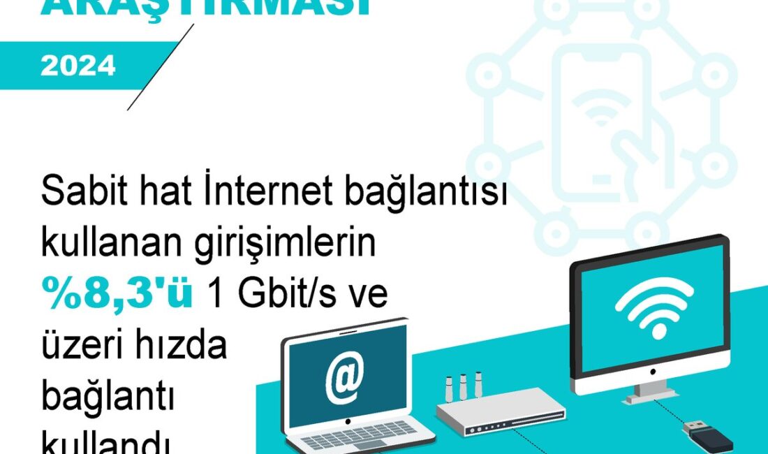 Türkiye İstatistik Kurumu, 2024 yılına yönelik yaptığı araştırmaya göre, girişimlerin