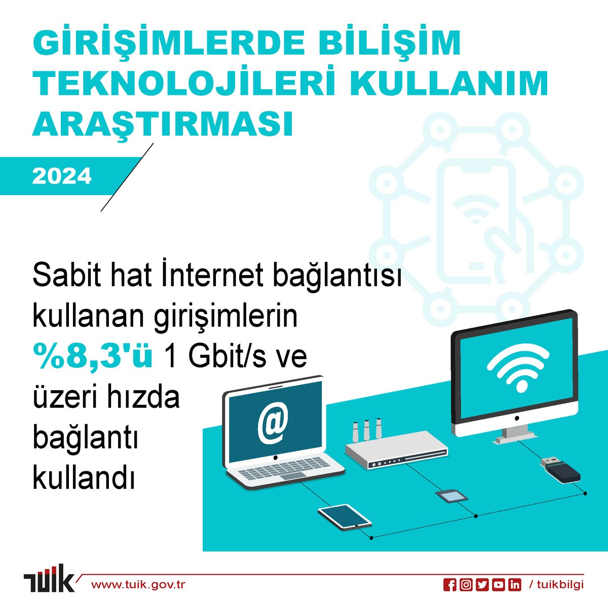 Türkiye İstatistik Kurumu, 2024 yılına yönelik yaptığı araştırmaya göre, girişimlerin