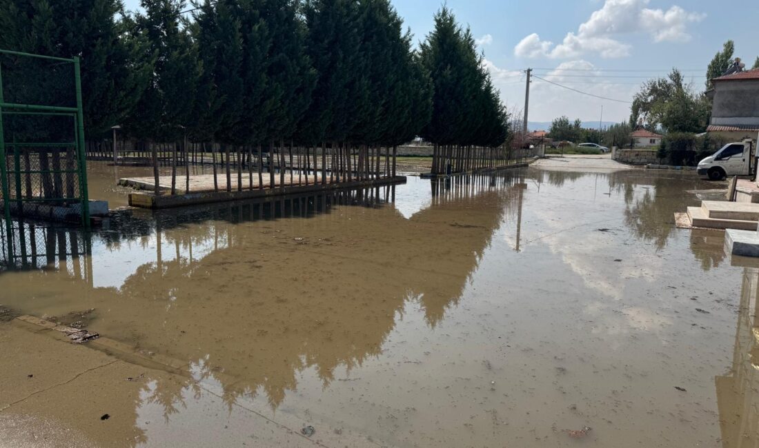 Şuhut Kaymakamı ve Çobanlar Kaymakam Vekili İzzet Cem Eser, Çobanlar