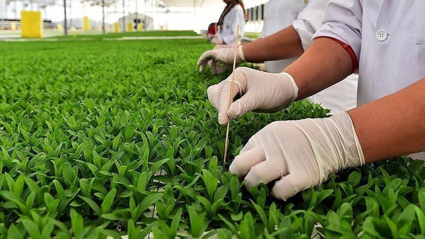 Tarım ve Orman Bakanlığınca 2024'te yapılacak bitkisel üretim desteklerine ilişkin
